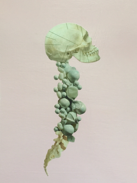 Untitled (Bones), Collage and Spray Paint on Paper